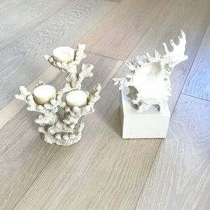 White coral and white shell